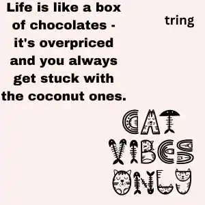 funny quotes about life (1).png funny quotes about life (1)
