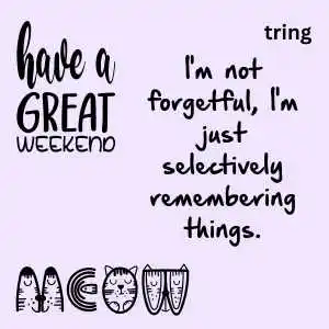 funny quotes about life (4).png funny quotes about life (4)