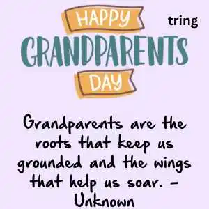 Grandparents day quotes (3)