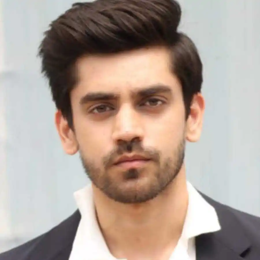 Avinash Mishra- titli tv show.jpg As Garv Mehta