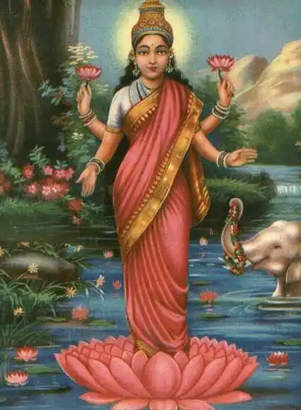 mahalakshmi on her lotus