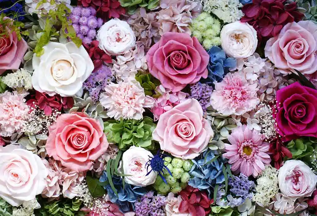 Best gift to propose a girl