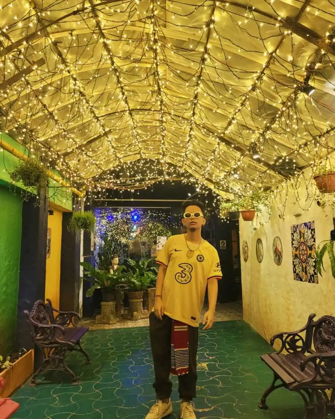 Shady-Mellow-Image Shady-Mellow-Image