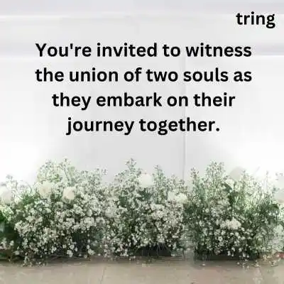 Simple Wedding Invitation Quotes.png Simple Wedding Invitation Quotes