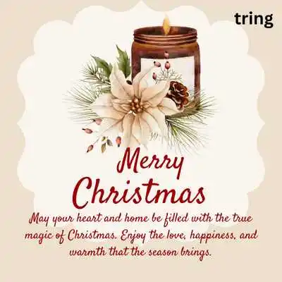 Christmas Cards.png Christmas Cards