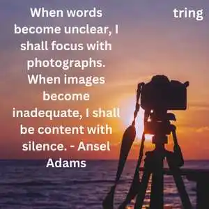 world photography day (3).png world photography day (3)