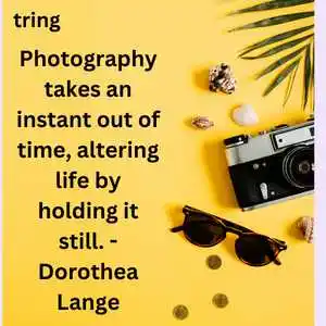 world photography day (6).png world photography day (6)