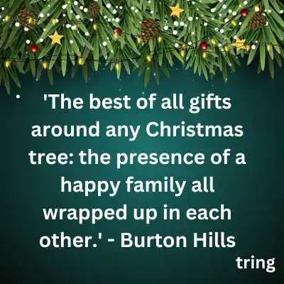 Merry Christmas Quotes.png Merry Christmas Quotes