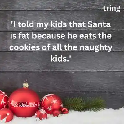 Funny Christmas Quotes.png Funny Christmas Quotes