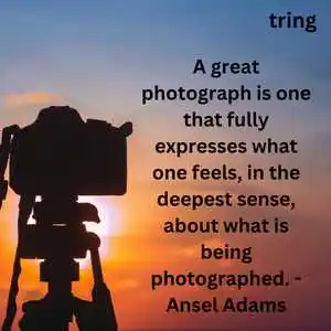 world photography day (8).png world photography day (8)