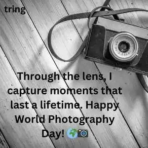 world photography day (9).png world photography day (9)