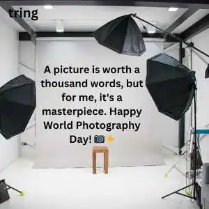 world photography day (10).png world photography day (10)