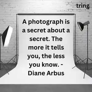 world photography day (2).png world photography day (2)