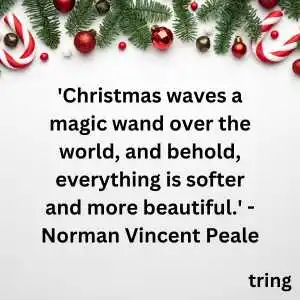 merry christmas quotes (8).png merry christmas quotes (8)