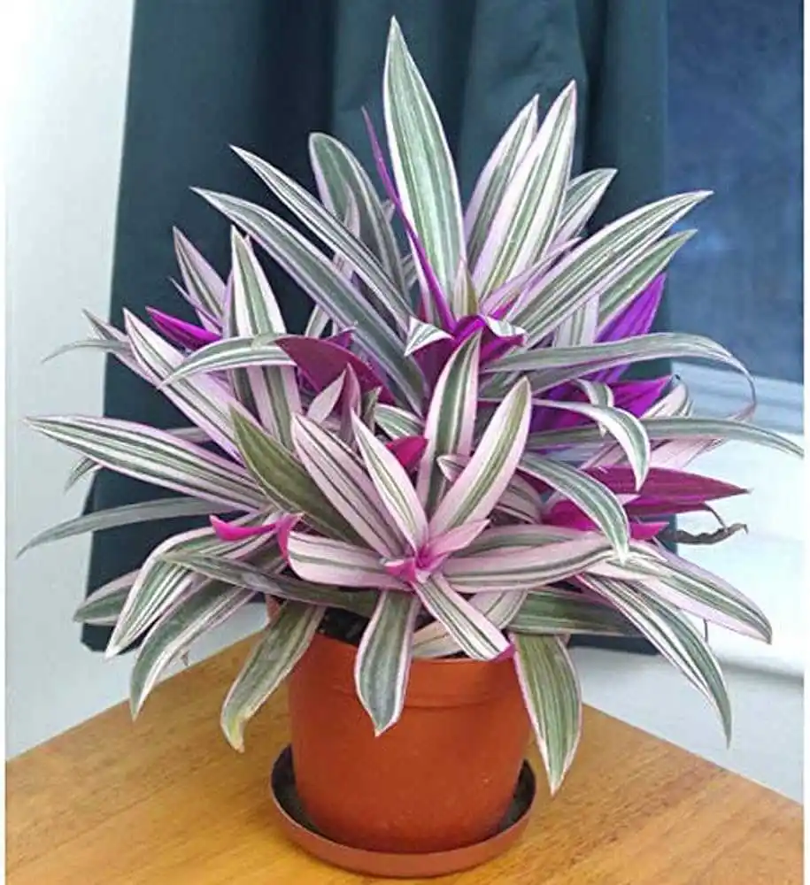 Unique Gift Ideas For Girlfriend.jpg Unique Gift Ideas For Girlfriend