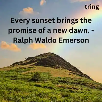 Nature Lover Quotes Nature Lover Quotes