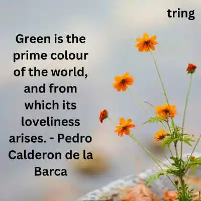 Green Nature Lover Quotes Green Nature Lover Quotes