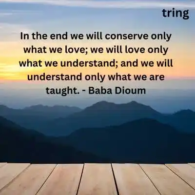 Nature and Animal Lover Quotes Nature and Animal Lover Quotes