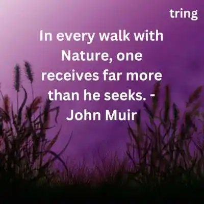 Beauty of Nature Quotes Beauty of Nature Quotes