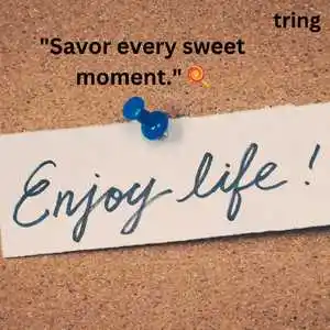Enjoying Life Quotes (3).png Enjoying Life Quotes (3)
