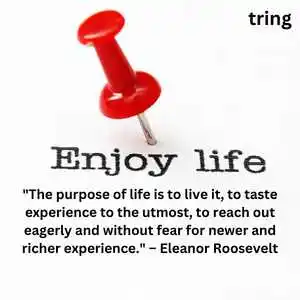 Enjoying Life Quotes (5).png Enjoying Life Quotes (5)