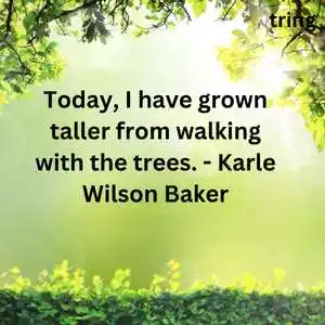 Nature Lover Quotes Nature Lover Quotes