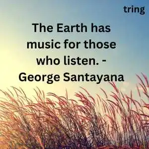 Nature Lover Quotes Nature Lover Quotes