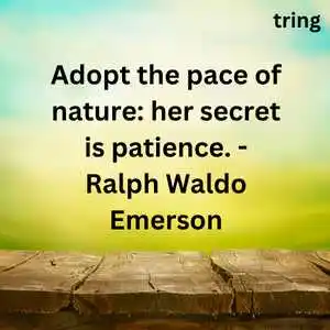 Nature Lover Quotes Nature Lover Quotes