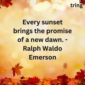 Nature Lover Quotes Nature Lover Quotes