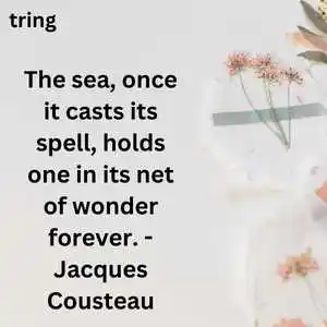 Nature Lover Quotes Nature Lover Quotes