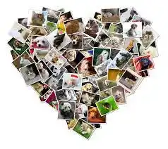 Affordable Wedding Anniversary Gift for Wife