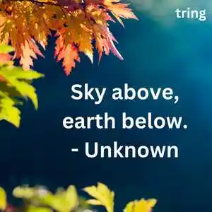 Nature Lover Quotes Nature Lover Quotes