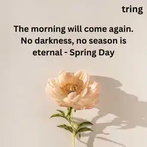 Aesthetic Bts Quotes (7).png Aesthetic Bts Quotes (7)