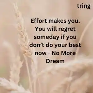 Aesthetic Bts Quotes (8).png Aesthetic Bts Quotes (8)