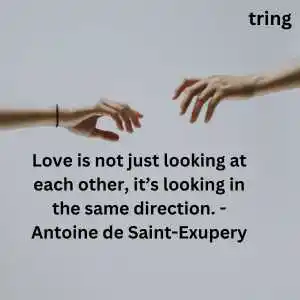 Best Couple Quotes (9).png Best Couple Quotes (9)