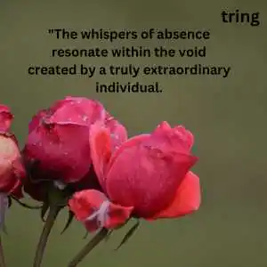 Someone Special Quotes (4).png Someone Special Quotes (4)