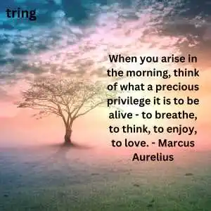 Meaningful Life Quotes (1).png Meaningful Life Quotes (1)