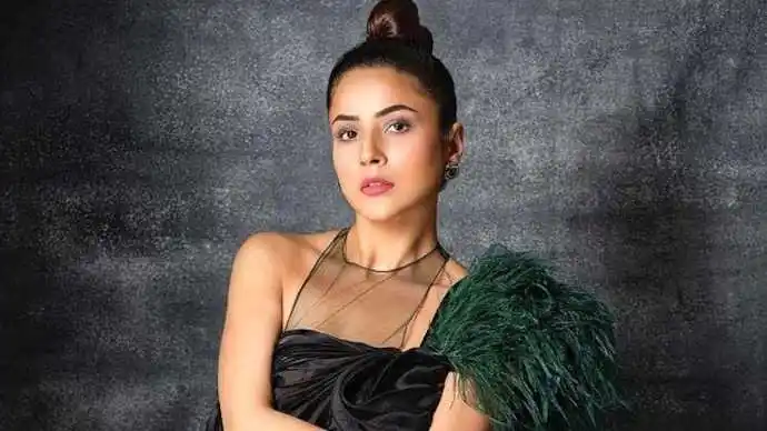 Shehnaaz Gill Photoshoot.tring Shehnaaz Gill Photoshoot