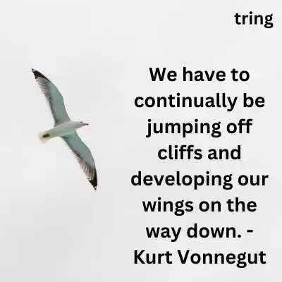 Quotes About Soaring high.png Quotes About Soaring high