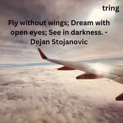 Fly High Quotes For Inspiration .png Fly High Quotes For Inspiration