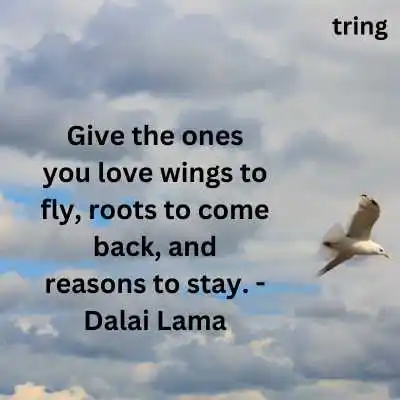 Fly High Quotes For Instagram.png Fly High Quotes For Instagram