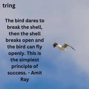 Fly High Quotes (1).png Fly High Quotes (1)