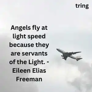 Fly High Quotes (3).png Fly High Quotes (3)
