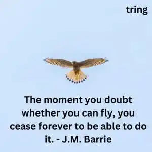 Fly High Quotes (7).png Fly High Quotes (7)