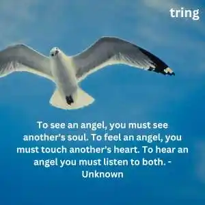 Fly High Quotes (5).png Fly High Quotes (5)