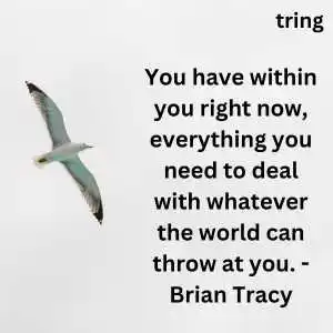 Fly High Quotes (6).png Fly High Quotes (6)