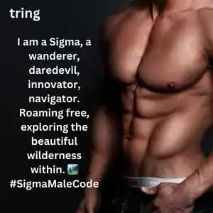 Sigma Male Quotes (5).png Sigma Male Quotes (5)