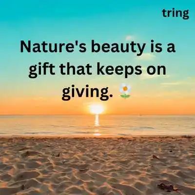 Nature Quotes For Instagram