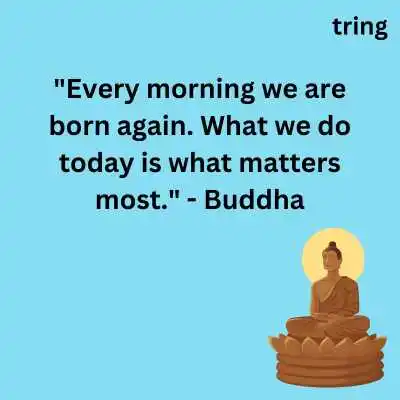 Quotes From Buddha For WhatsApp .png Quotes From Buddha For WhatsApp