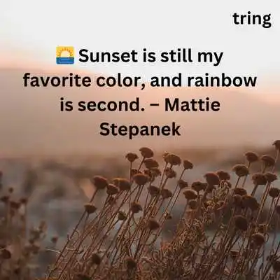 Quotes On Nature For WhatsApp